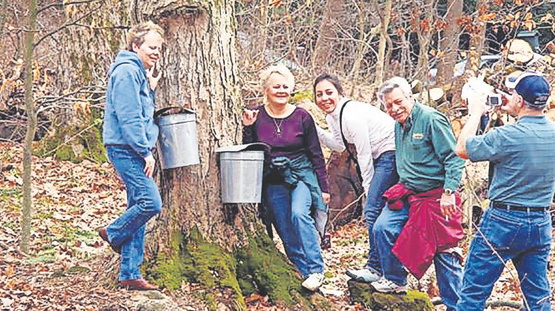get-your-fill-of-maple-in-mansfield,-ohio