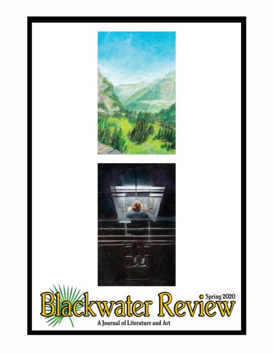 nwfsc-announces-blackwater-review,-laroche-poetry-winners